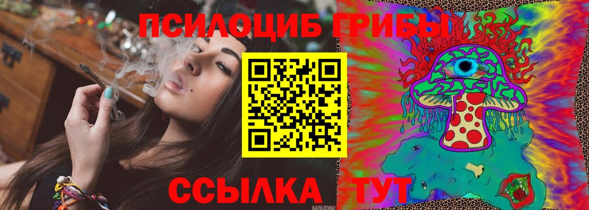 Родники  Псилоцибиновые грибы Psilocybine cubensis  Вход с VPN 